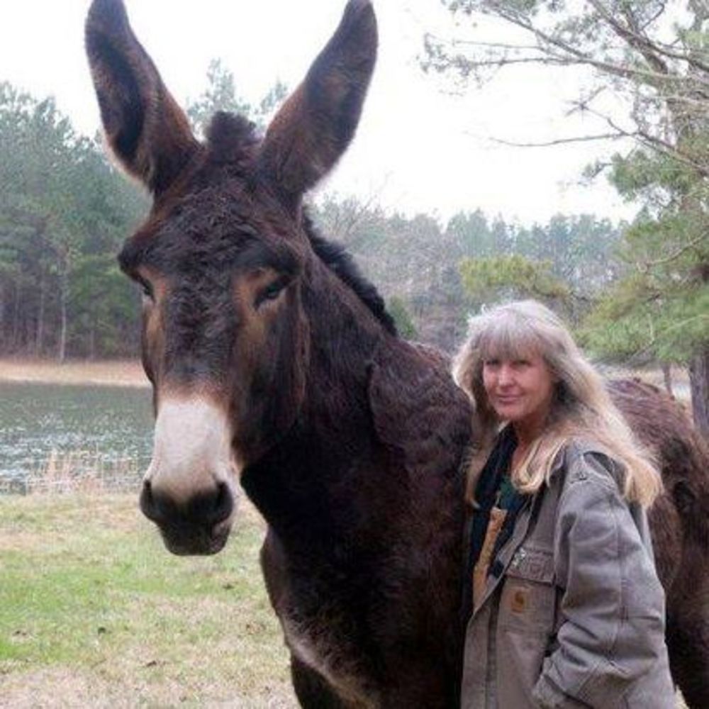 Meet your Posher, Deb